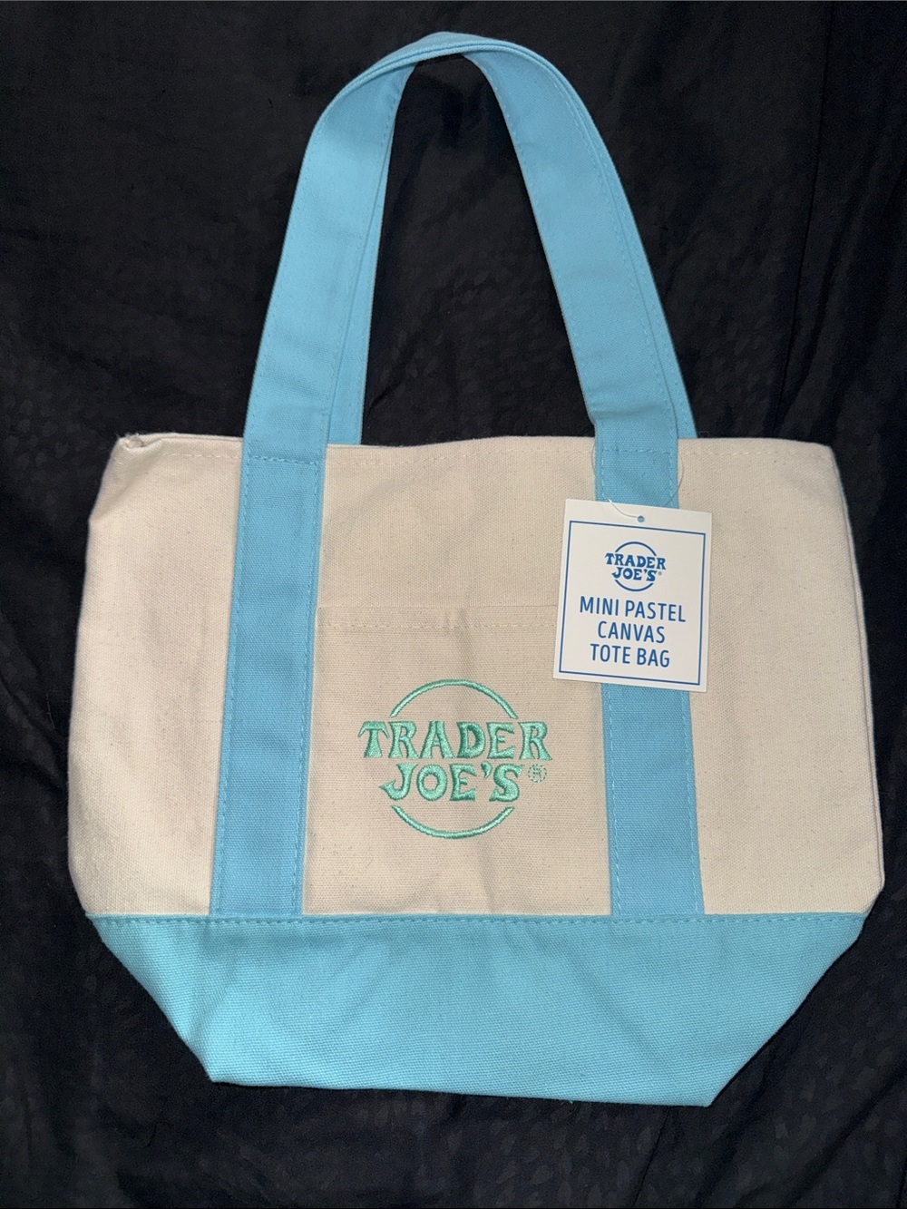 Mini Pastel Canvas Tote Bag in Light Blue